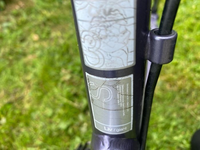 Ladies Bike Liv