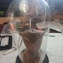 Wax Cobra in antique glass dome. Image 3