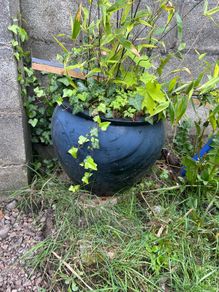 Flower Pot - Black flower pot, free to take bamboo not included
