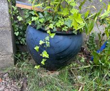 Flower Pot - Black flower pot, free to take bamboo not included