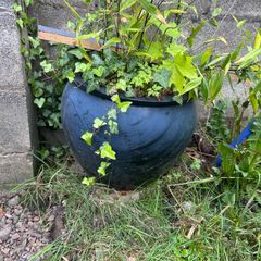 Flower Pot - Black flower pot, free to take bamboo not included