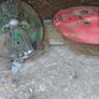 Mower Image 7