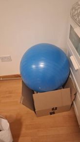 Gym or pregnancy ball