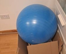 Gym or pregnancy ball