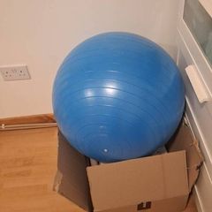 Gym or pregnancy ball