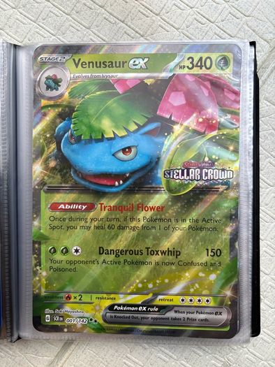 Pokemon TCG Oversize (Jumbo) Binder and Cards