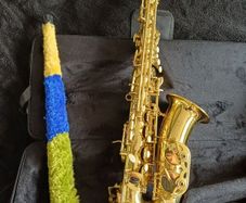 saxophone alto sax