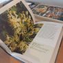 Herbs Image 2