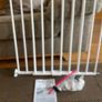 Baby security gate Image 2
