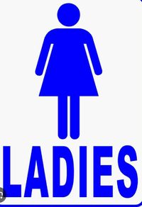 Large bundle of ladies clothes size 14-16