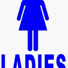 Large bundle of ladies clothes size 14-16