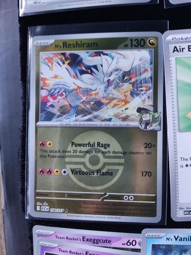 Ascended heroes players bulk rockets, N's, poke pads