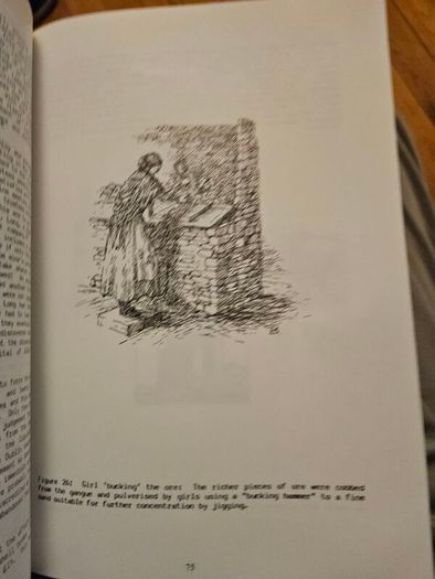 The Abandoned Mines Of West Carbery. Promoters Adventurers And Miners. By D. Cowman And T.a.reilly. First Edition Large Volume Paperback In Good Condition.  See Photos For Same.