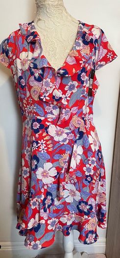 Pixie Daisy dress floral size 14 - New with tags