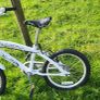 Girls bike Image 2
