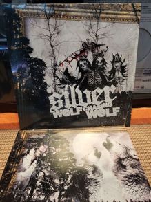 Silver - Wolf Chasing Wolf