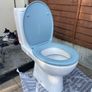 Toilet and Vanity Unit Image 4