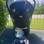 buggy Image 4