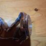 Genuine breitling b1 Watch Image 6