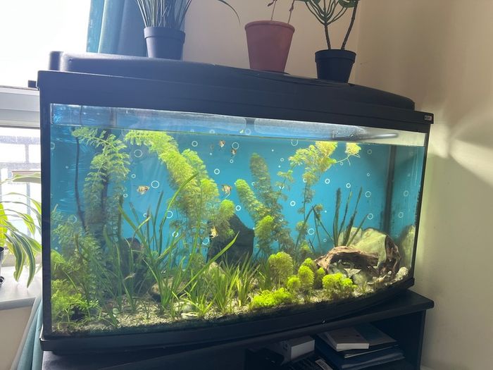 160l AQUAEL Fish tank