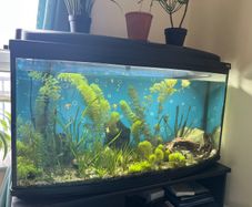 160l AQUAEL Fish tank