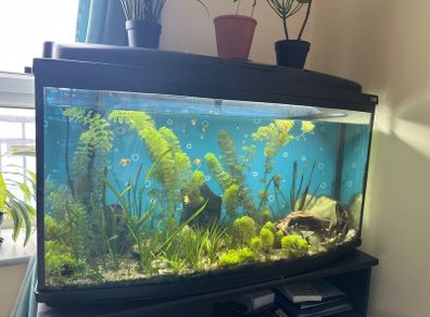 160l AQUAEL Fish tank