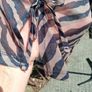 Leopard print sheer blouse by NEXT Image 3