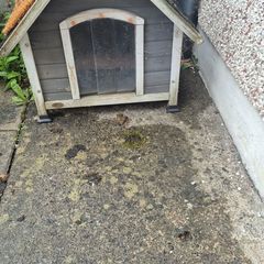 dog house
