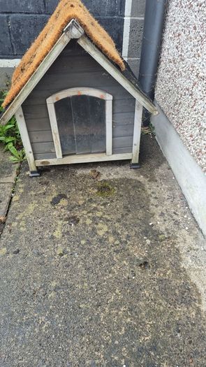 dog house