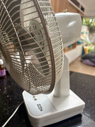 Fan