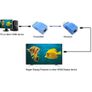 HDMI To RJ45 Adapter Ethernet Network Extender Image 4