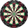 CHEAP Full darts setup , Omni , 3 sets of pro darts , Tor board , Surround , K flex , Swiss points etc Image 5
