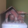 Litter trays Image 2