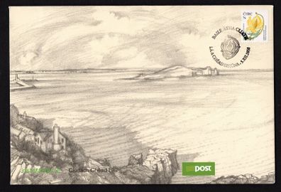 2008 Ireland Sixth Definitive Series Wild Flowers of Ireland "N" (Yellow horned-poppy)  self-adhesive booklet  An Post First Day Cover (FDC)