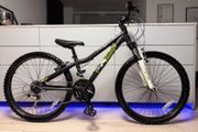 Ridgeback MX Terrain Junior Bike 24 inch