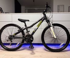 Ridgeback MX Terrain Junior Bike 24 inch
