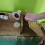 Tortoise / Reptile Start up Enclosure for Sale Image 5