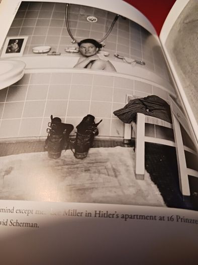 The Bitter Taste of Victory /Life,Love & Art in the Ruins of the Reich/ Laura Feigel/2016
