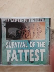 Survival Of The Fattest CD  (Punk)