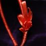 Handmade orange satin hairband Image 2