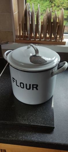 Vintage Enamel Flour Bin