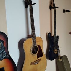 Richwood  Artist series