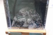 Friendly Fires - 2 CD/DVD