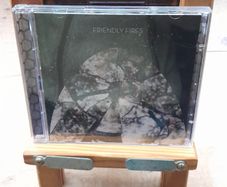 Friendly Fires - 2 CD/DVD