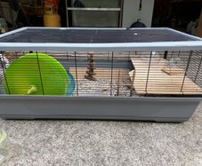 Large Animal Cage & Accessories