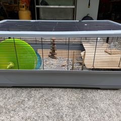 Large Animal Cage & Accessories