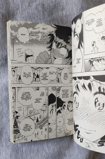 Nisekoi False Love vol.19 manga anime chitoge kirisaki onodera kosaki raku ichijou seishirou tsugumi