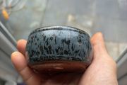 bonsai pot