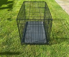 dog crate