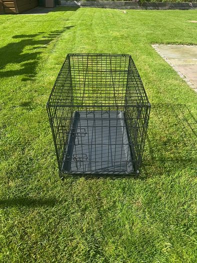 dog crate